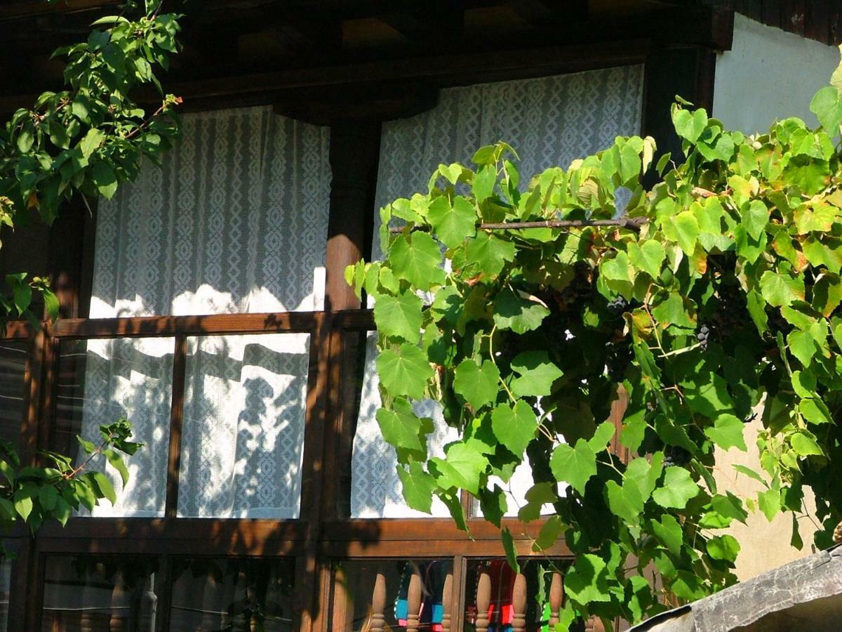 The Tinkov House In ロヴェチ エクステリア 写真