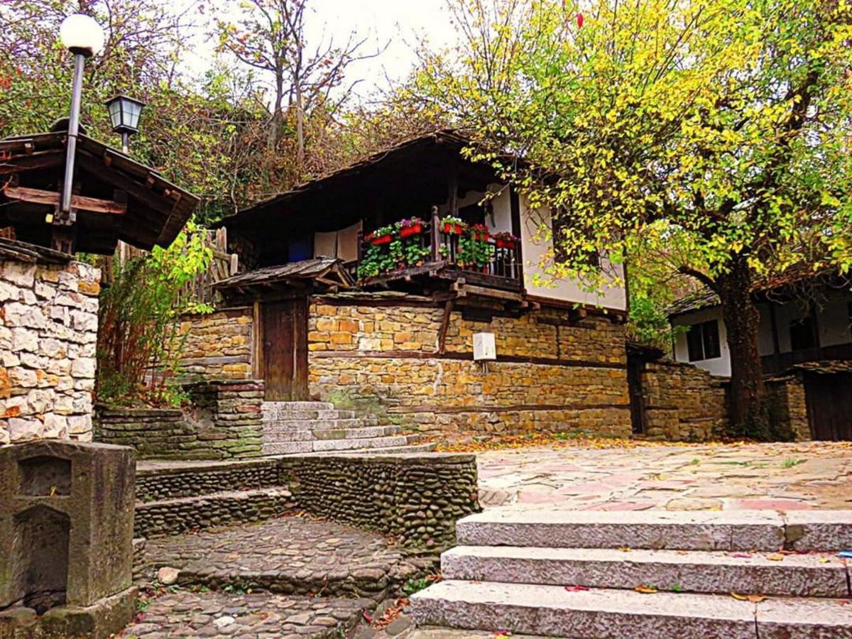 The Tinkov House In ロヴェチ エクステリア 写真
